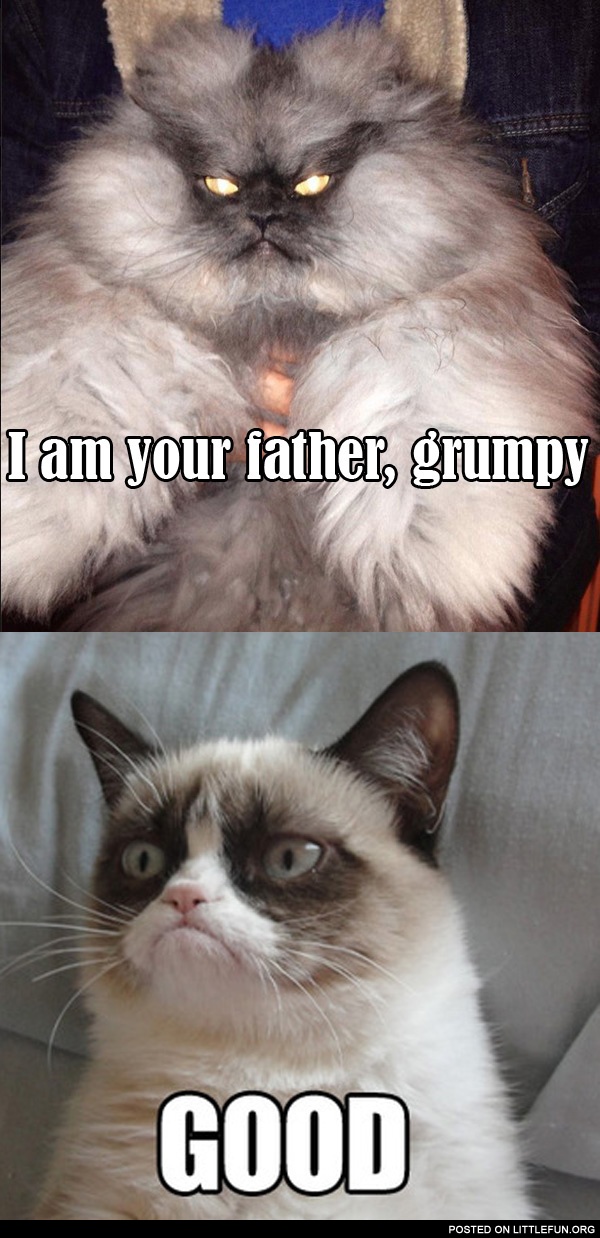 Grumpy, I'm your father