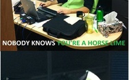 On the internet nobody knows you are a horse lime