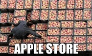 Apple store