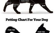 Petting chart for your cat and your dog