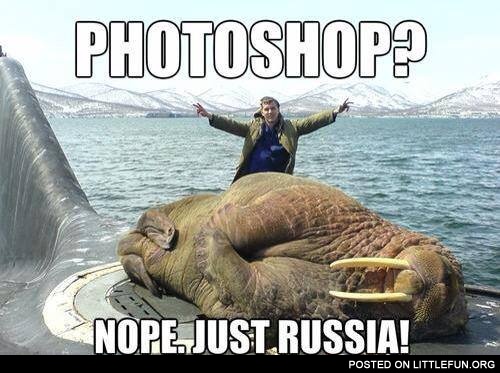 A walrus asleep on a Russian submarine