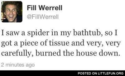 I saw a spider