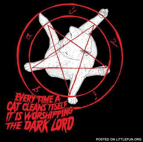 Satan cats