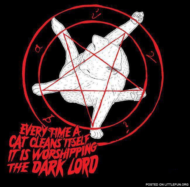 Satan cats