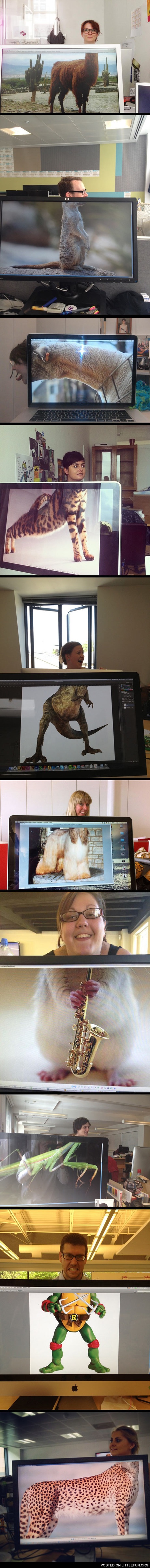Desk Safari