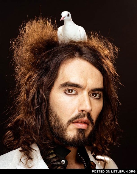 A nest on the head