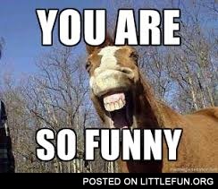 You are so funny horse