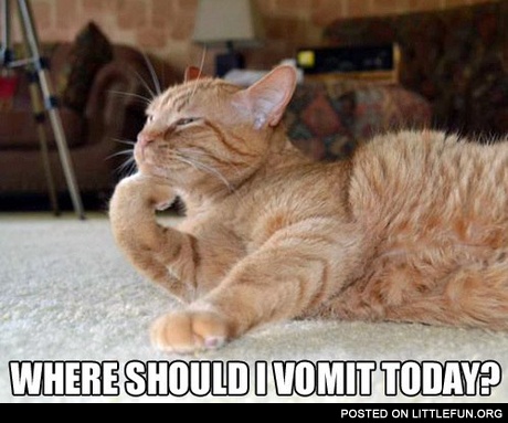Where should I vomit today?