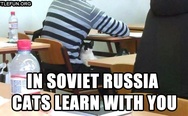 In Soviet Russia cats learn with you