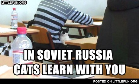In Soviet Russia cats learn with you