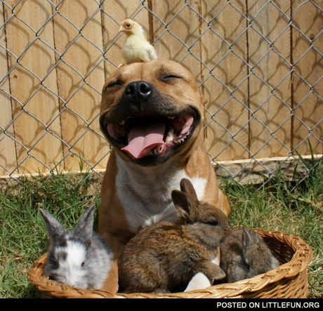 Cuteness overload