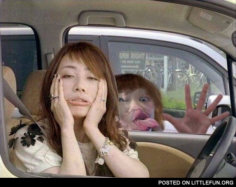 Epic photobomb