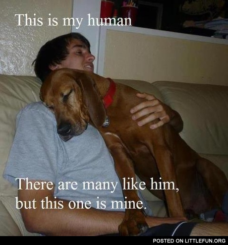 This is my human