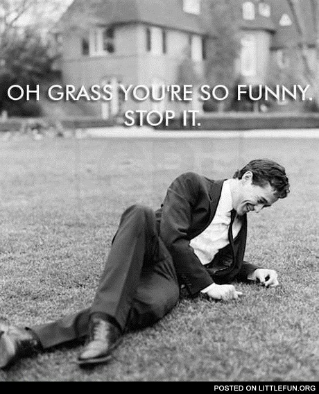 Oh grass, you are so funny