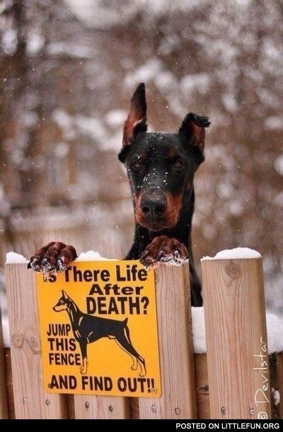 Is there life after death?