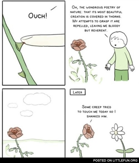 The wondrous poetry of nature