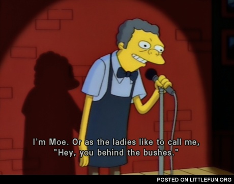 I'm Moe