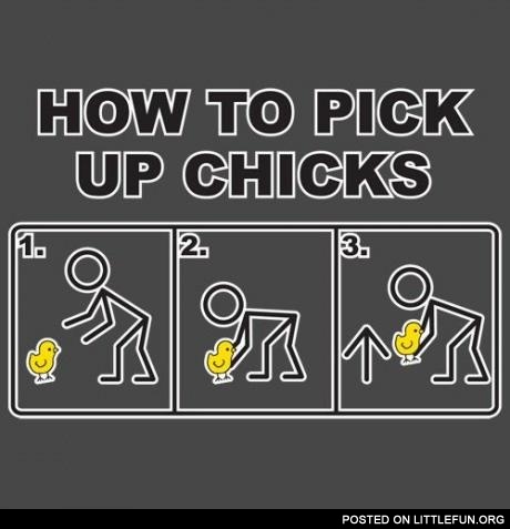 How to pick up chicks