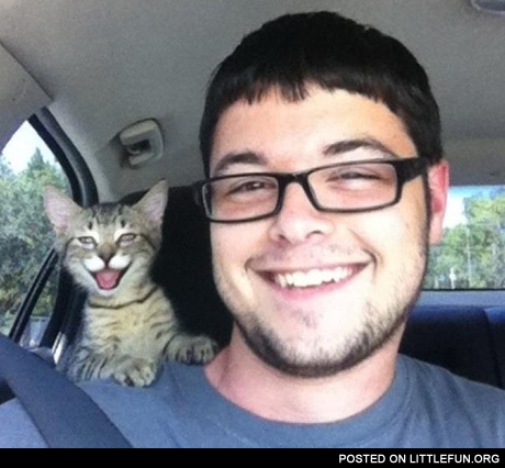 Happy cat