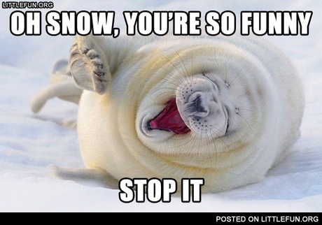 Oh snow, you are so funny
