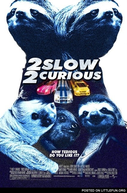 2 slow and 2 curious