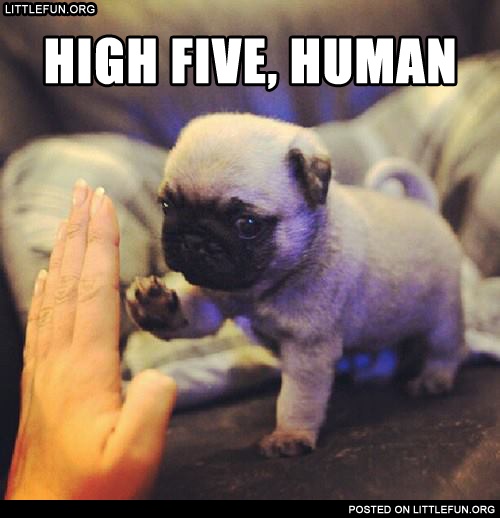 High five, human