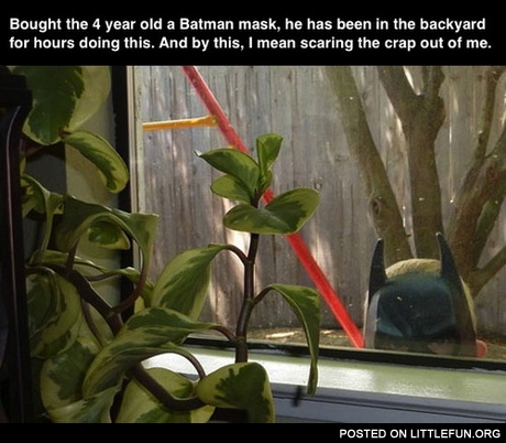 Batman mask