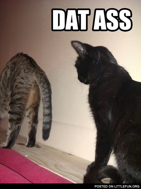 Dat ass