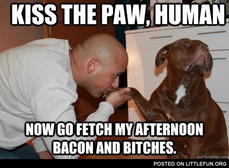 Kiss the paw