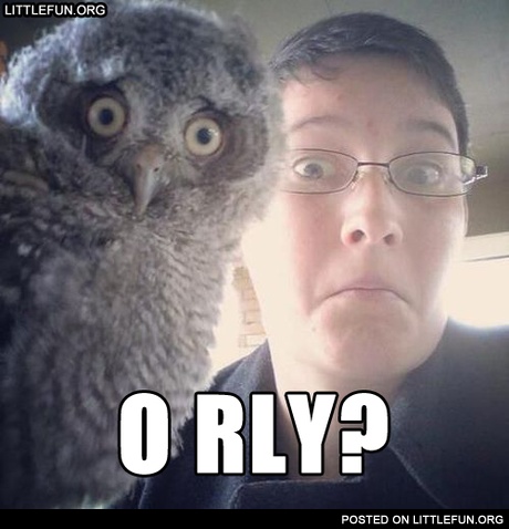 O rly?