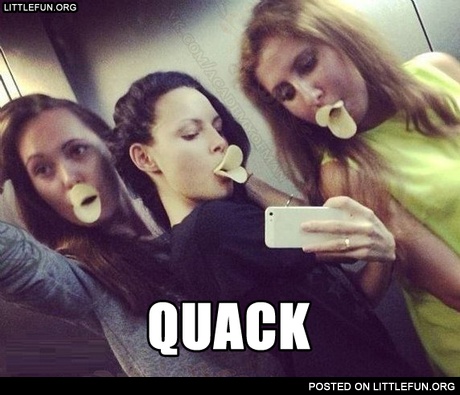 Ducks
