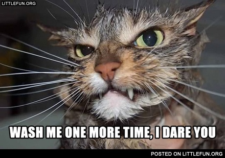 Wash me one more time, I dare you