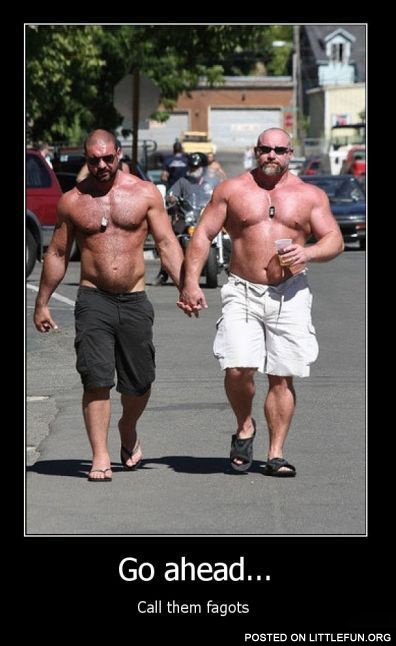 Go ahead, call them fagots