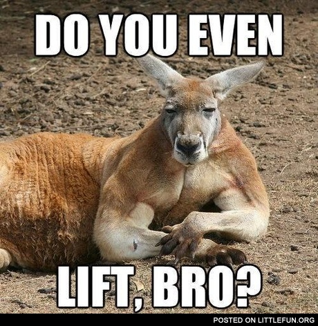 Do you even lift, bro?