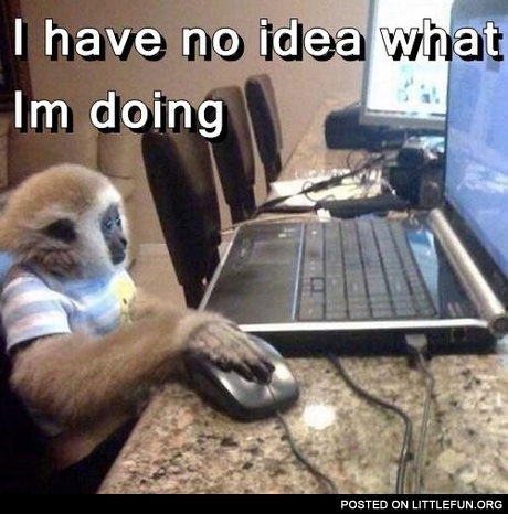 Monkey with laptop. I have no idea what I'm doing.