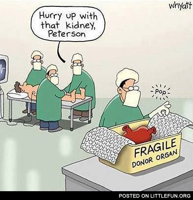 Hurry up, Peterson