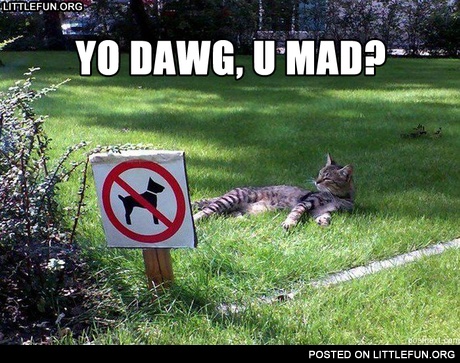 Yo dawg, u mad?