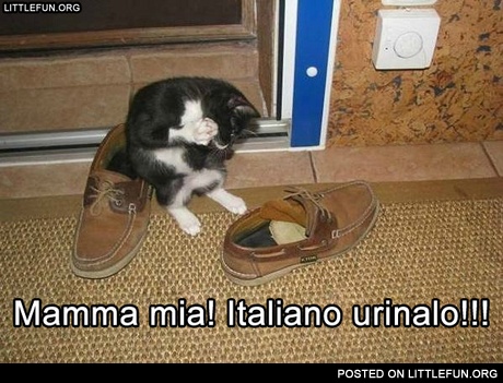 Mamma mia! Italiano urinalo! Italian shoes