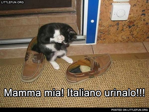 Mamma mia! Italiano urinalo! Italian shoes