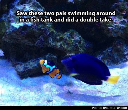 Real Nemo