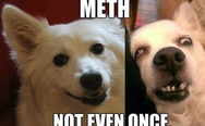 Meth, not even once