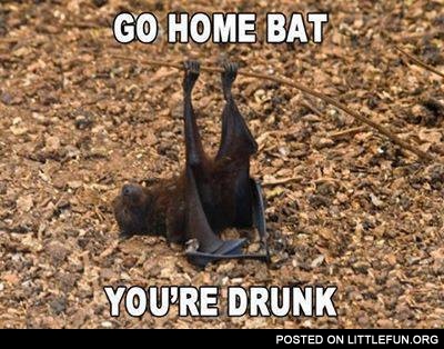 Go home bat, you're drunk