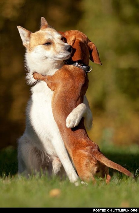 Old buddies