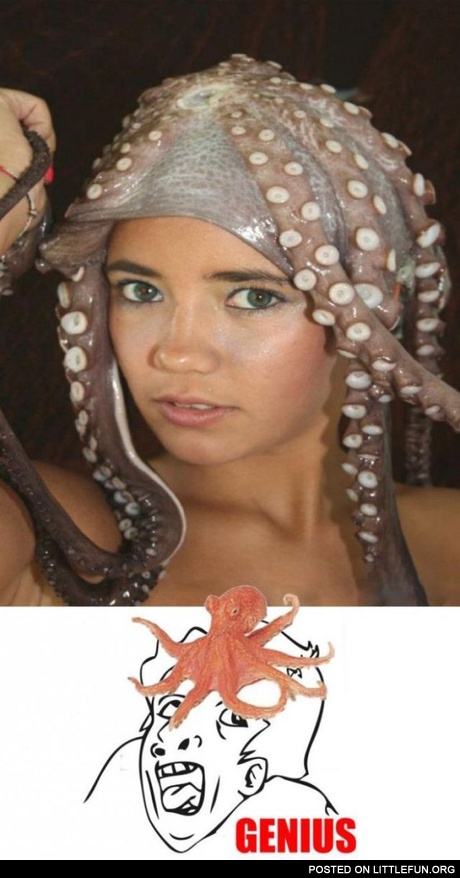 Octopus hat