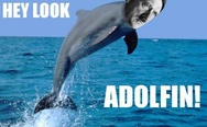 Adolfin