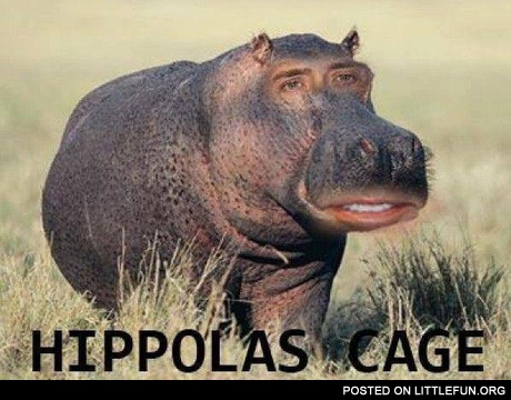 Hippolas Cage