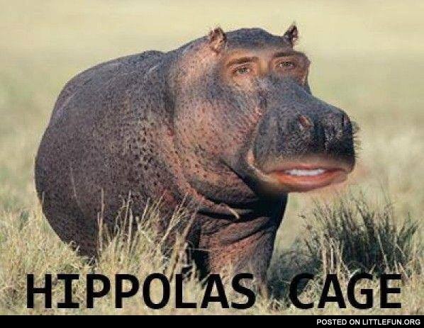 Hippolas Cage