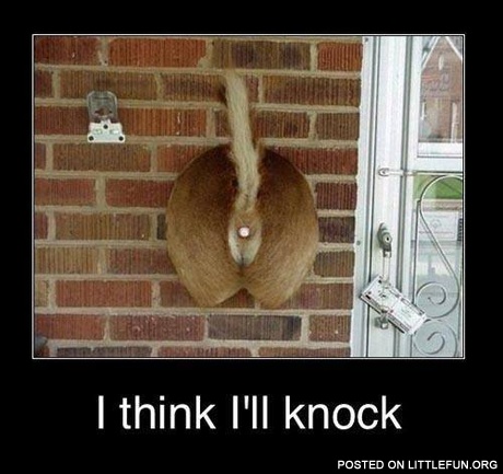 I think I'll knock
