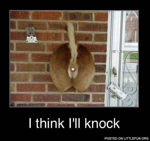 I think I'll knock