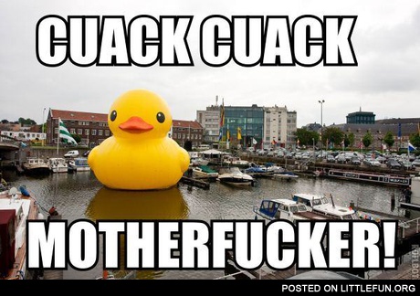 Cuack cuack